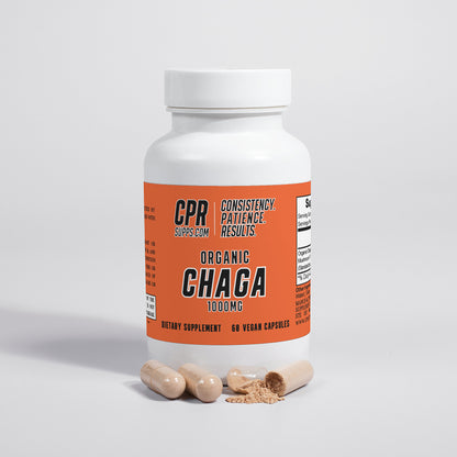 Chaga Mushroom